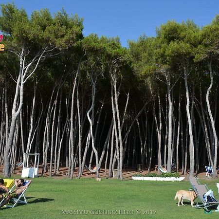 Bau Bau Beach Village Foce del Sele Εξωτερικό φωτογραφία