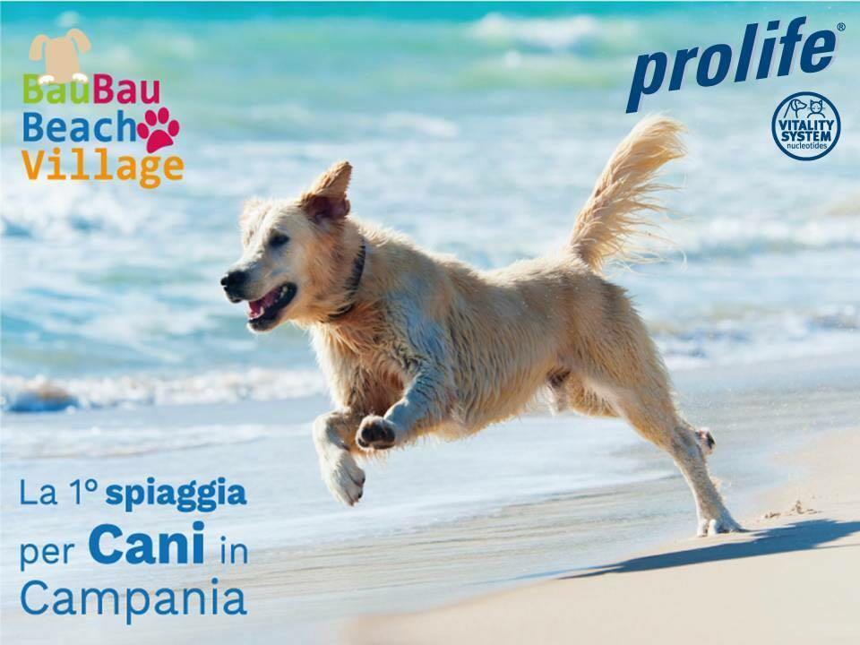 Bau Bau Beach Village Foce del Sele Εξωτερικό φωτογραφία