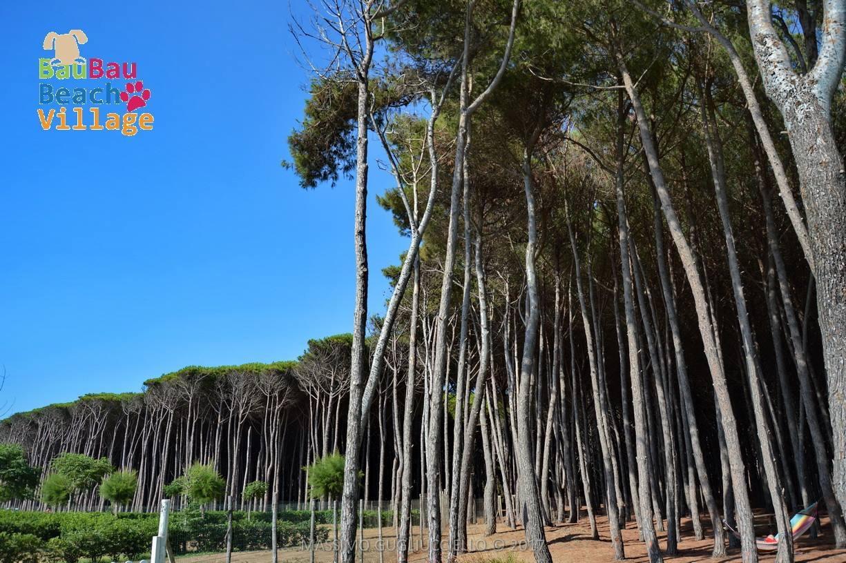 Bau Bau Beach Village Foce del Sele Εξωτερικό φωτογραφία